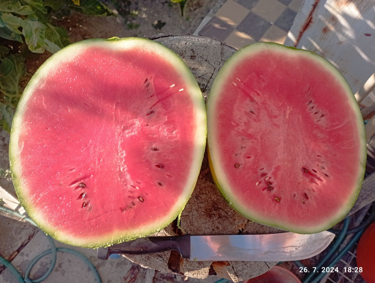 melony po rozrezani