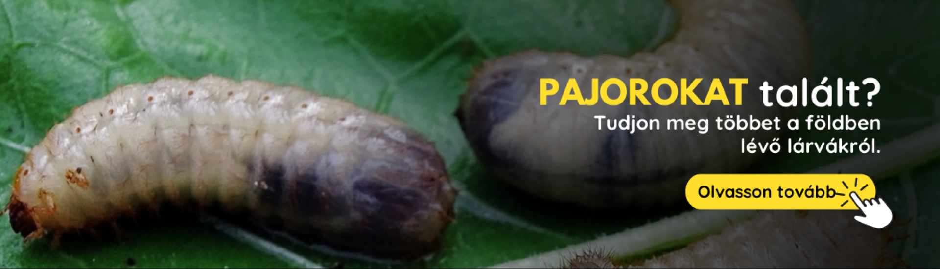 HU Pandravy (3,4,5,6,7,8,9,10)