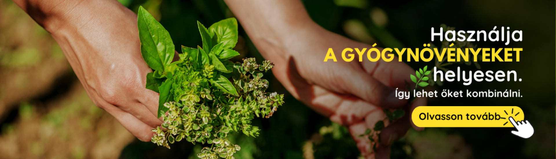 HU Pestovanie byliniek (4,5,6,7,8,9)